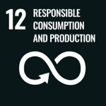 Responsible consumption and production - UN Sustainable Development Goal Logo