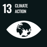 Climate action - UN Sustainable Development Goal Logo