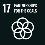 Partnerships for the goals - UN Sustainable Development Goal Logo